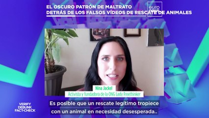The Cube | Vídeos de rescates de animales que esconden atroces casos de maltrato animal