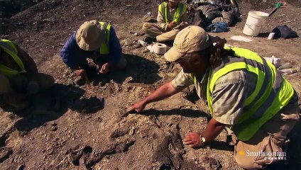 Titanoboa Monster Snake - Meet the Scientist Carlos Jaramillo