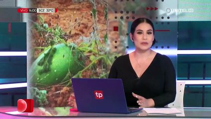 Alerta por sequía en municipios del Cono Sur de Cochabamba: racionan agua y prevén perforar pozos