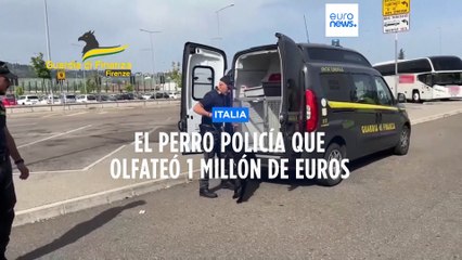 Italia | Un perro policía descubre un millón de euros escondidos en una maleta