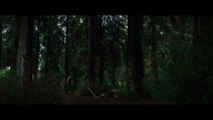 David Kushner - Daylight (Polish Lyric Video)