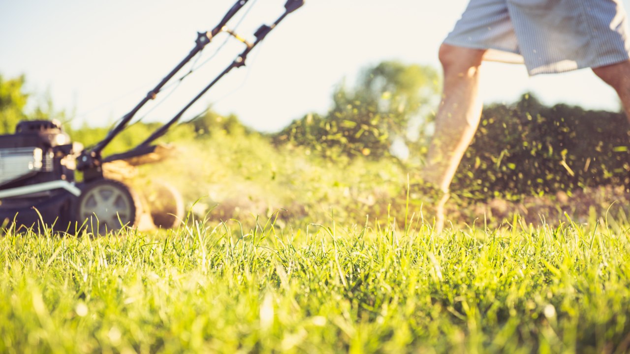 New Science Suggests That Just 4 Minutes Per Day of This Kind of Exercise May Lower Cancer Risk