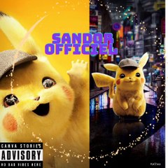 S.A.N.D.O.R - volé vert les étoiles filantes 2023