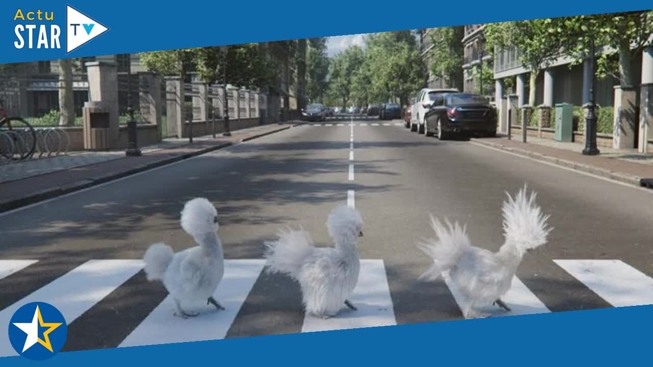 Les Poules (France 3) : saurez-vous retrouver toutes les références cachées dans les 5 nouveaux film