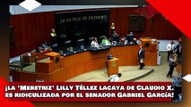 ¡VEAN! ¡la Meretriz Lilly Téllez lacaya de Claudio X. es ridiculizada por el senador Gabriel García!