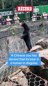 ¿Personas DISFRAZADAS de OSOS en ZOOLÓGICO? #Osos #Disfraz #Zoológico