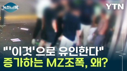 "젊은 피 수혈될수록 악랄"...대폭 증가한 MZ조폭, 왜? [Y녹취록] / YTN
