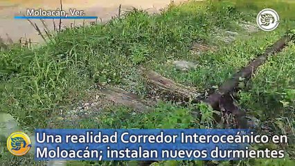 Una realidad Corredor Interoceánico en Moloacán; instalan nuevos durmientes y rieles
