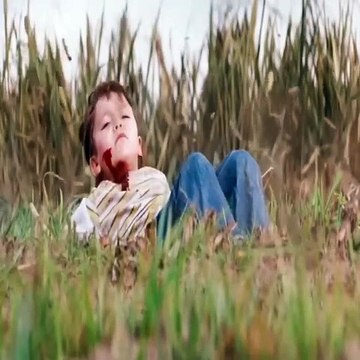 Best Of NetFlicks Movies || Top Netflix Movie Looper || Netflix Sci-fi/Action