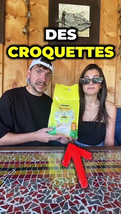 LE PERDANT DOIT MANGER DES CROQUETTES POUR CHAT !!!