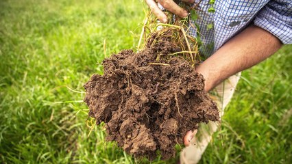 'NERRINYERIE, western Victoria farm sale | August 2, 2023 | Farmonline