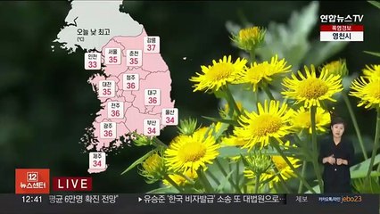 [날씨] 푹푹찌는 폭염 계속, 강릉 37도…온열질환 주의