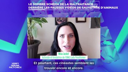 Le "Cube" a mené l'enquête sur les vidéos virales montrant des sauvetages d'animaux