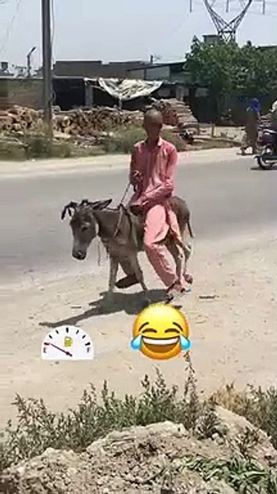 Most Funny Vehicle