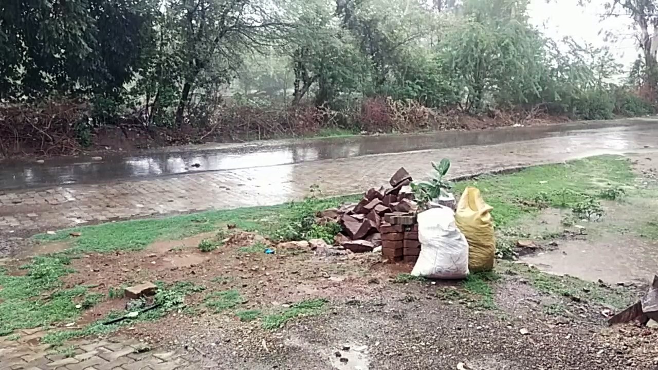 आज से फिर सक्रिय मानसून...