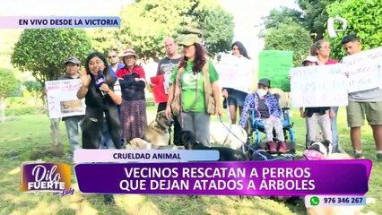 La Victoria: vecinos denuncian constantes abandonos de perros en parques