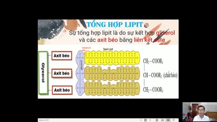 Sinh 10 - Bài 23 Quá trình tổng hợp và phân giải các chất ở vi sinh vật