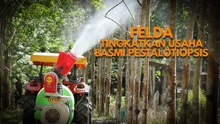 Rawatan pestalotiopsis bantu tingkatkan semula hasil peneroka getah