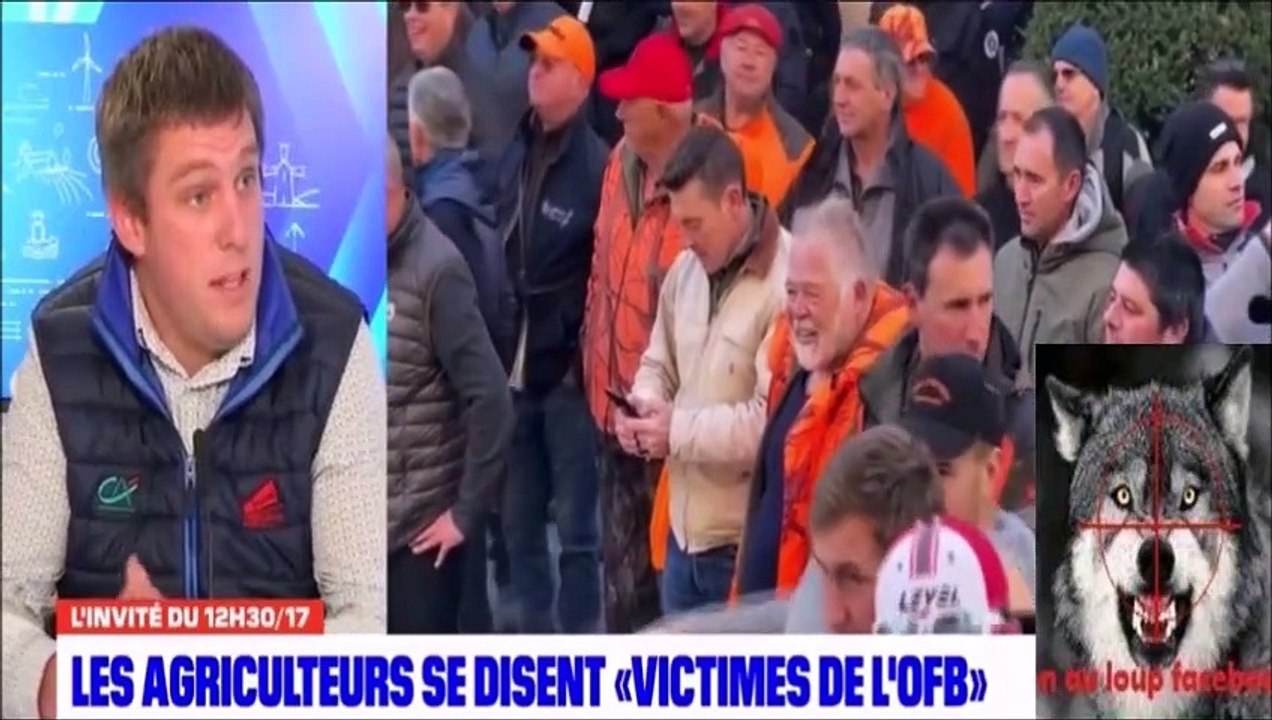+12% d'attaques et de victimes Une grosse colère un éleveur bas-alpin écœuré