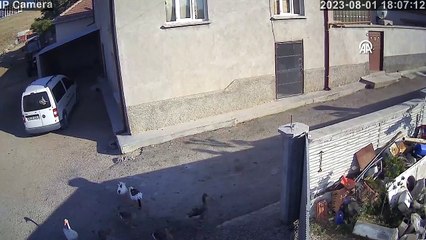 Konya, Izmir, Erzurum ! Après les tremblements de terre qui se sont succédé, un avertissement est venu de Naci Görür