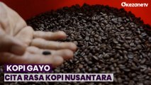 Kopi Gayo, Kopi Arabika Organik Kualitas Dunia