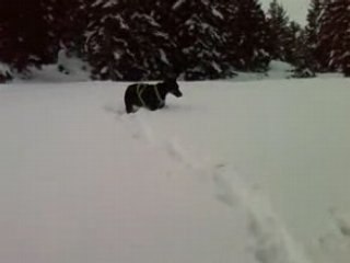 Chamrousse