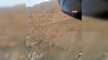 Dağ keçisi yavrularıyla birlikte böyle görüntülendi