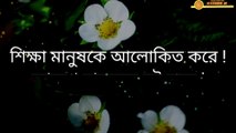 Best Motivational Quotes in Bangla | Heart Touching Quotes in Bangla | Emotional Bani in Bangla| Bangla Bani | Bangla Ukti | Bangla Shayari