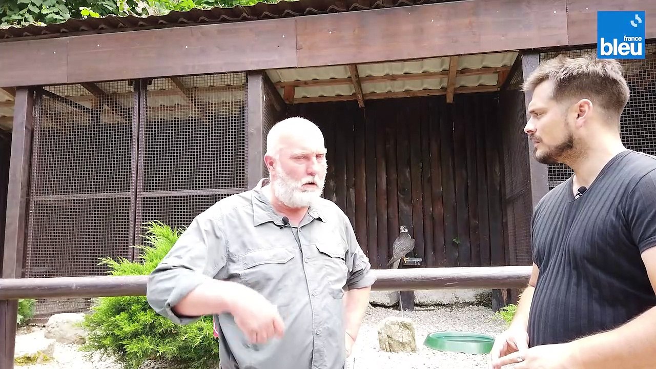 2/5 : les espèces présentes à la Volerie des Aigles