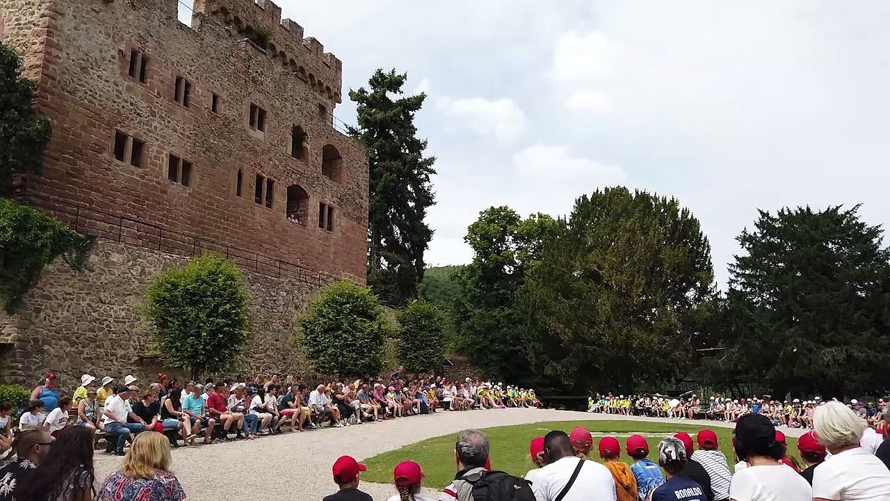3/5 : les stars internationales de la Volerie des Aigles : le Harfang des neiges