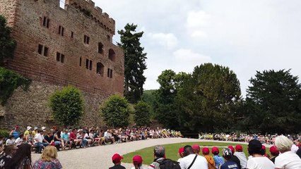 3/5 : les stars internationales de la Volerie des Aigles : le Harfang des neiges