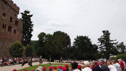 1/5 : Gilles Siess vous raconte l'histoire de la Volerie des Aigles