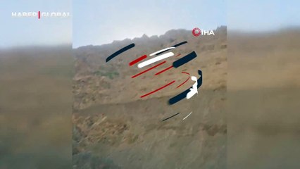 Dağ keçisi yavrularıyla birlikte böyle görüntülendi