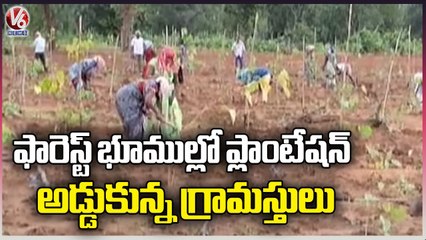 Villagers Stops Tree Plantation At  Mallampet Forest Lands _ Mancherial _ V6 News (1)
