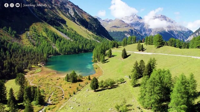 ВОССТАНОВЛЕНИЕ НЕРВНОЙ СИСТЕМЫ Нежная музыка успокаивает нервную систему и радует душу #11