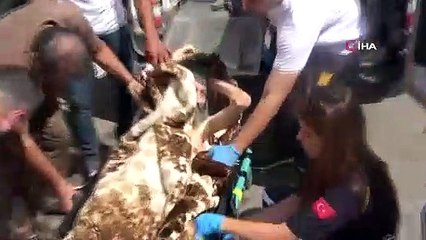 Çöp evden dram çıktı! Alzheimer hastası adamı ölüme terk etmişler