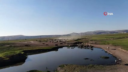 Hürmetçi Sazlığı 'kesin korunacak hassas alan' ilan edildi