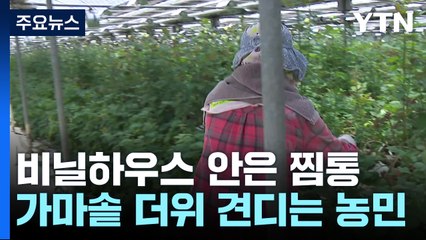 40도 넘는 비닐하우스 안...일손 놓을 수 없어 '막막' / YTN