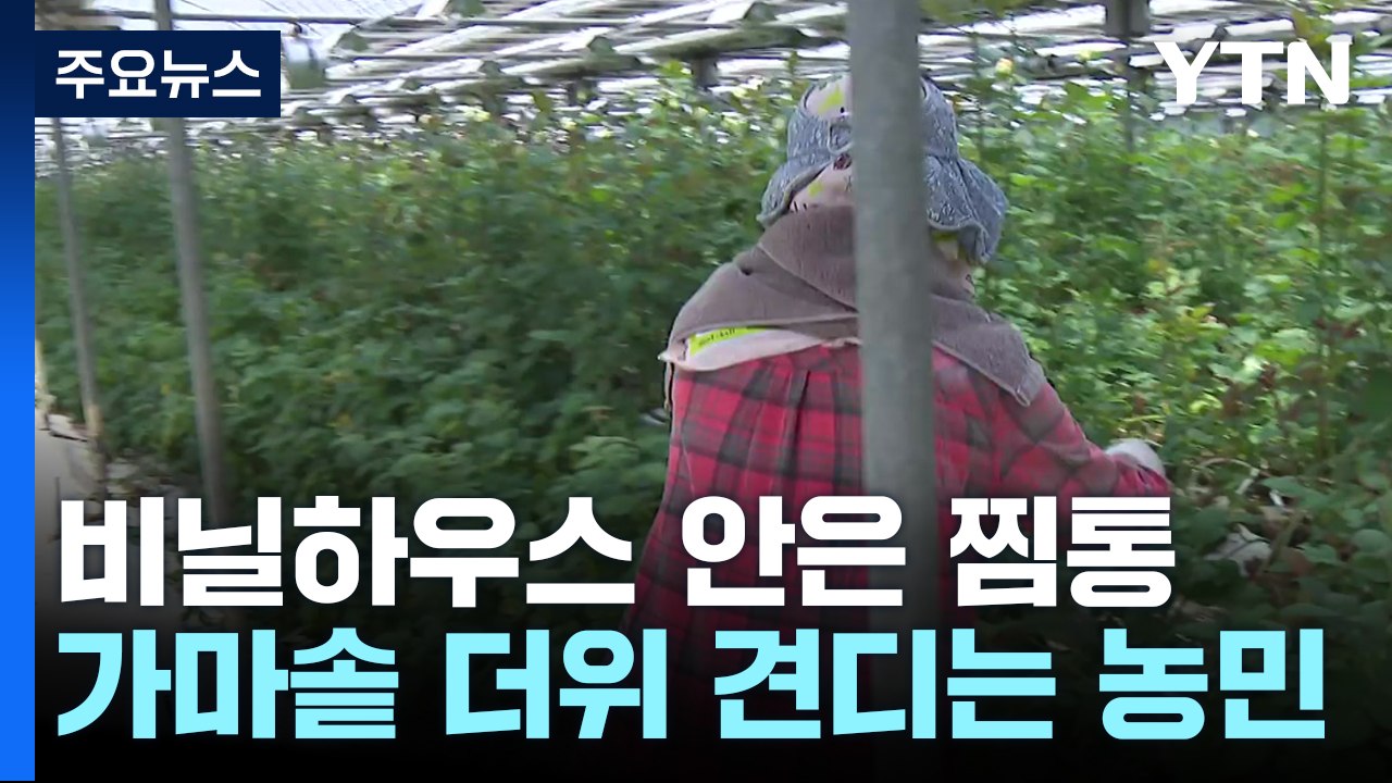 40도 넘는 비닐하우스 안...일손 놓을 수 없어 '막막' / YTN