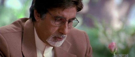 Baghban 2003 Hindi Movie Part10