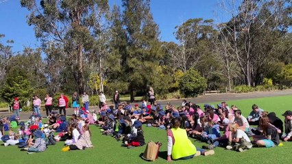 Students enjoy newly opened play equipment at Colo Vale Public School