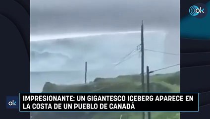 Impresionante: un gigantesco iceberg aparece en la costa de un pueblo de Canadá