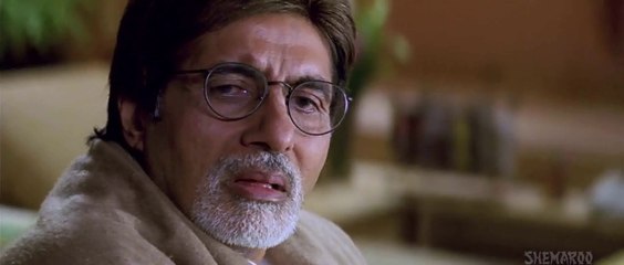Baghban 2003 Hindi Movie Part11