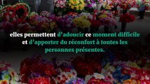 Choisir des fleurs naturelles pour son enterrement