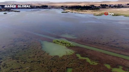Sivas’ta ilginç doğa olayı!