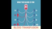 Blood Transfusion Compatibility | ABO Blood Group System | Rh Blood Group System | Who Blood is for?