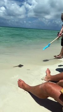 No way - The Laughter Factory: Discover the secret of magical laughter in our enchanting world! The Imaginary Laughter Park: Where your dreams come true and laughter takes off in vibrant colors! Crazy Journey to the Land of Laughter: Get ready for an