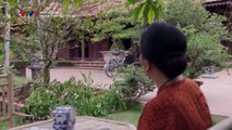 Chị Em Khác Mẹ Tập 15-16 - Phim Việt Nam VTV9 - Xem Phim Chi Em Khac Me Tap 15-16