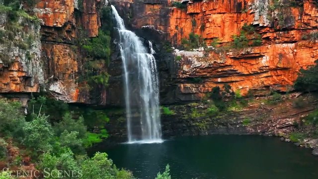 Amazing Wildlife of Africa in 4K - Nature Scenes - Scenic Relaxation Film