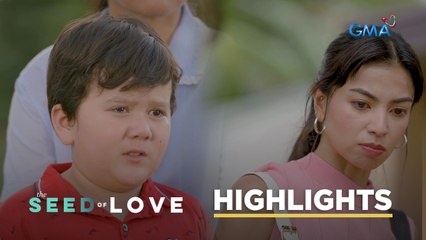 The Seed of Love: Another successful scheme of the wicked mistress (Episode 62)